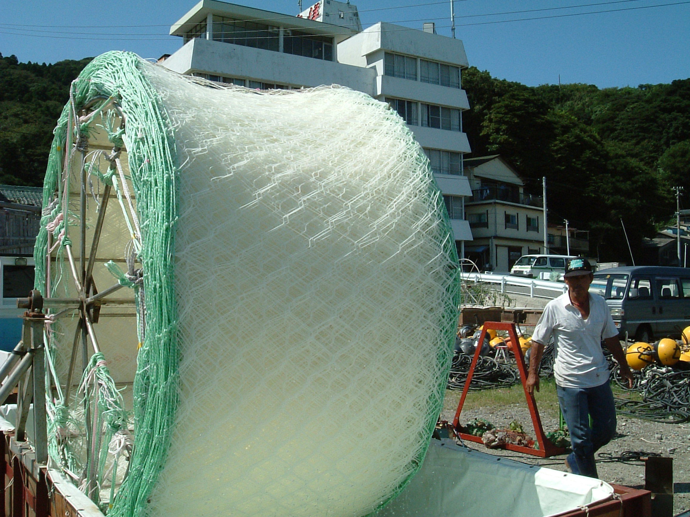 黒ノリ種付け 島旅日記